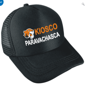 Gorra Trucker Con Logo